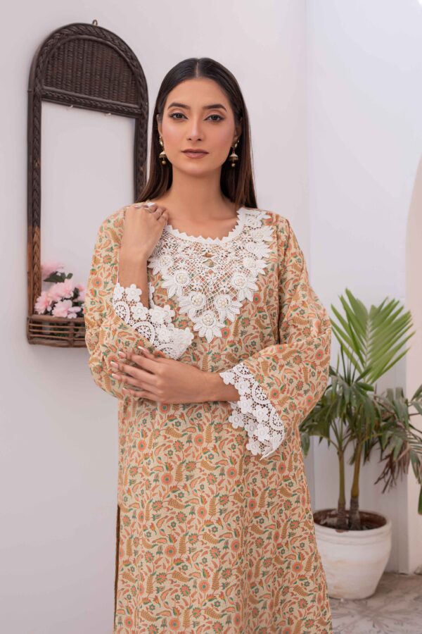 Printed Lawn 2-Piece with Embroidered Lace Neck